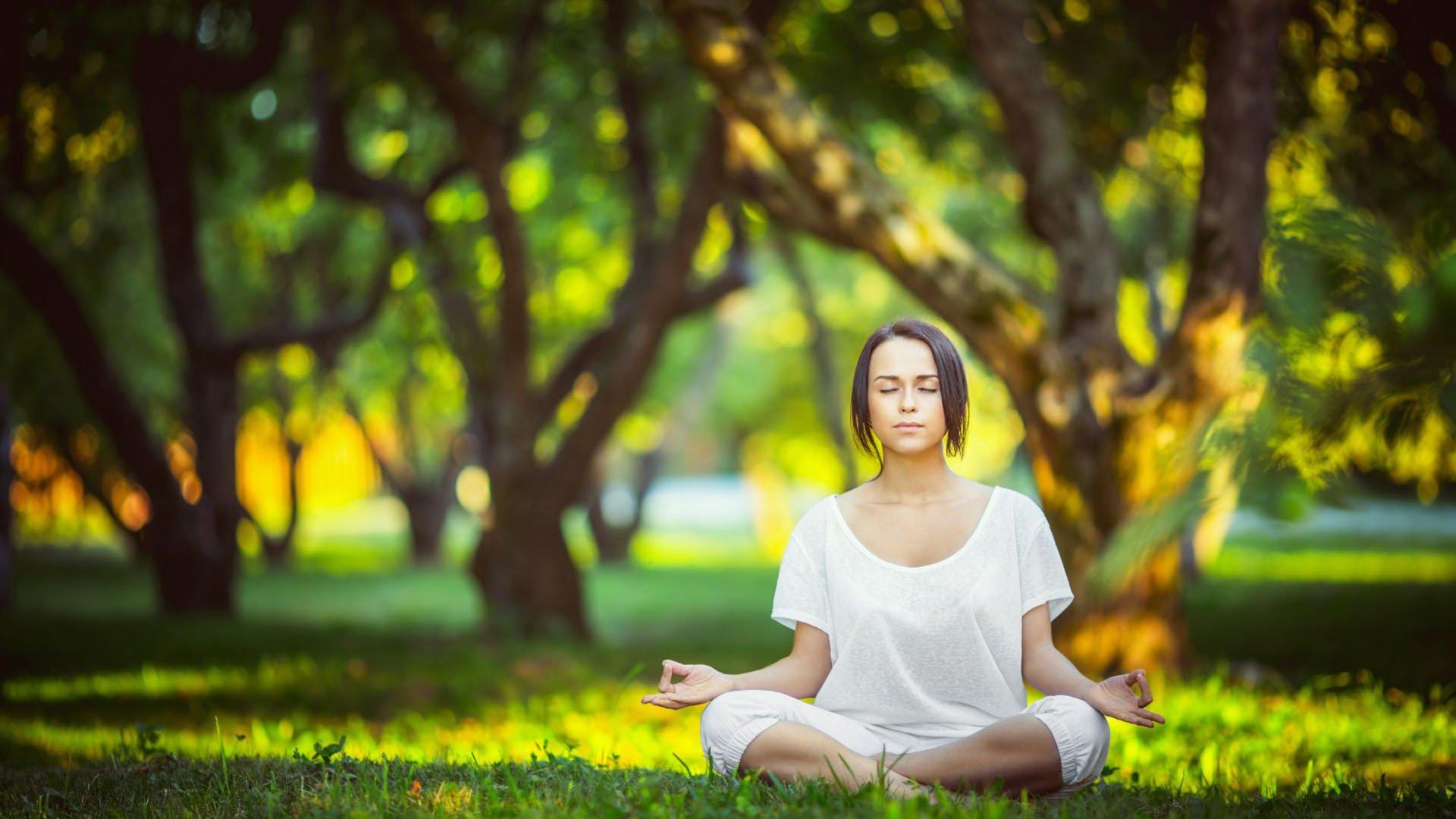 纽卡接受现实转向新目标，英超锋线洗牌在即